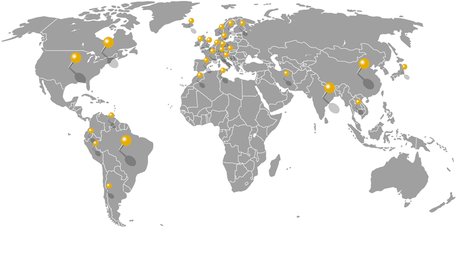 CAVEX global